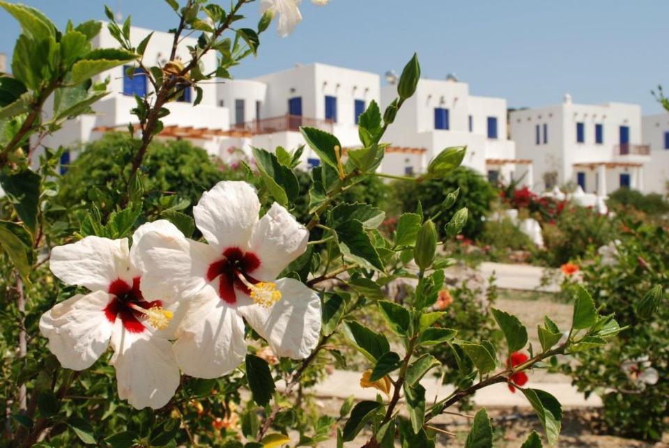 Niriedes Villas Lipsi Ngoại thất bức ảnh